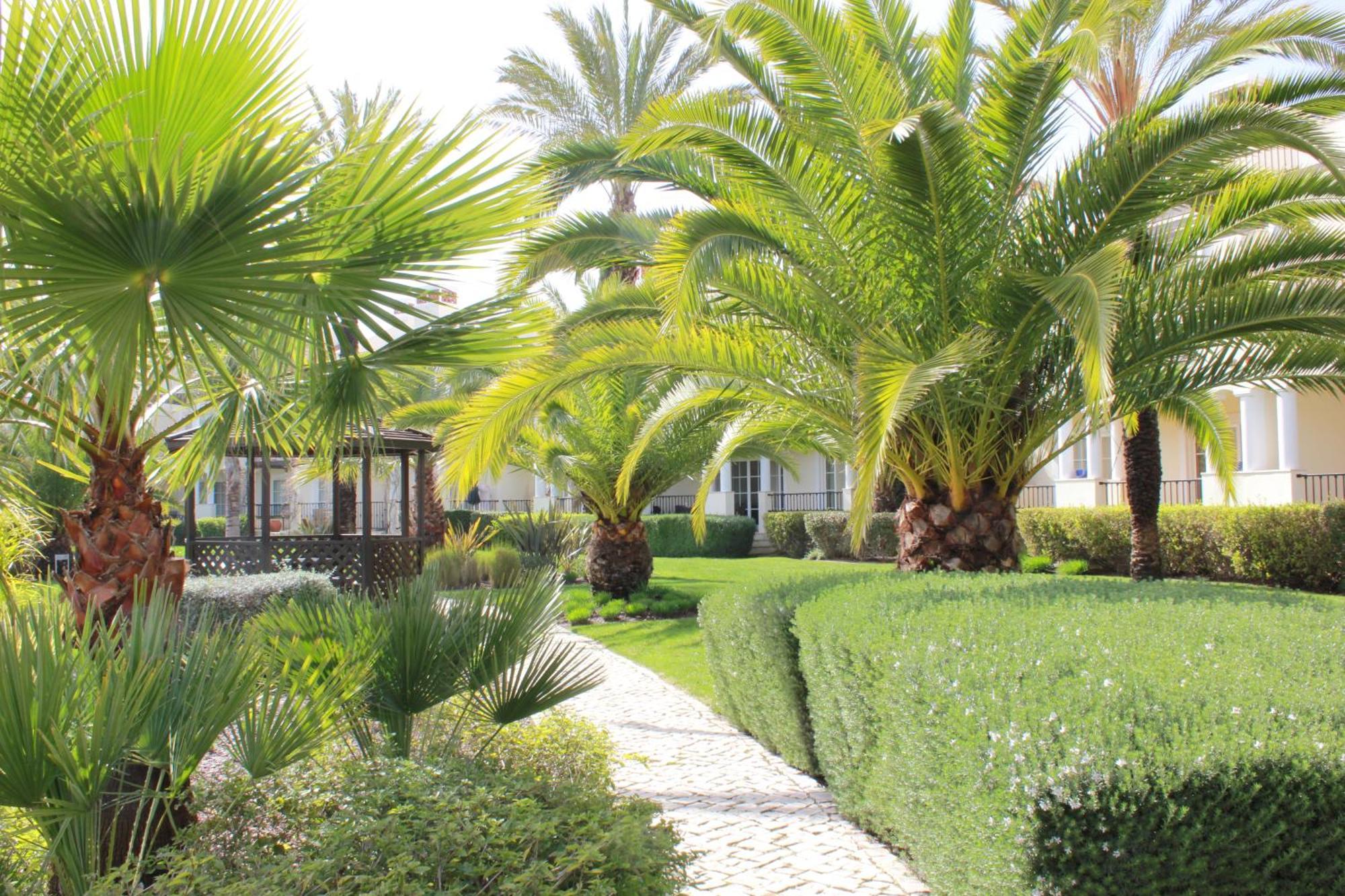 Luxury 3 Bedroom On Gated Complex Apartment